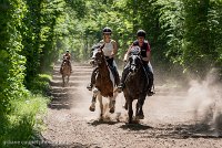 037 ECURIES LA GARENNE - FORET -GAL 0154 : 2017, 25 Mai 2017, GALOP, Les écuries de la Garenne, Sortie forêt de Chantilly