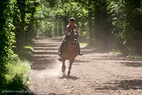 039 ECURIES LA GARENNE - FORET -GAL 0156 : 2017, 25 Mai 2017, GALOP, Les écuries de la Garenne, Sortie forêt de Chantilly