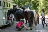 065 ECURIES LA GARENNE - FORET -GAL 0182 : 2017, 25 Mai 2017, Les écuries de la Garenne, Sortie forêt de Chantilly