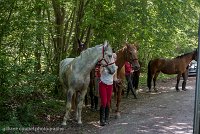 112 ECURIES LA GARENNE - FORET -GAL 0229 : 2017, 25 Mai 2017, Les écuries de la Garenne, Sortie forêt de Chantilly