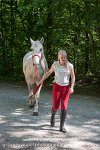 127 ECURIES LA GARENNE - FORET -GAL 0244 : 2017, 25 Mai 2017, Les écuries de la Garenne, Sortie forêt de Chantilly