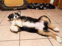 16012019- ETNA et ONLY GIL7526