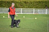 027-EDJAY-12032017-OBEISSANCE CHANTILLY -RAL 9259 : 2017, CC DE CHANTILLY, CLASSE 3, CONCOURS OBEISSANCE, Dimanche 12 Mars 2017, EDJAY DE LA BERGERIE DE MORGANE