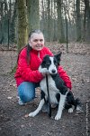 026-CSAU L ISLE ADAM-GIL 1469 : 2017, CSAU, ambiance, concours RING, l'Isle Adam, portrait