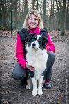032-CSAU L ISLE ADAM-GIL 1475-Modifier : 2017, CSAU, ambiance, concours RING, l'Isle Adam, portrait
