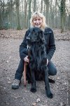 035-CSAU L ISLE ADAM-GIL 1478 : 2017, CSAU, ambiance, concours RING, l'Isle Adam, portrait