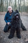 036-CSAU L ISLE ADAM-GIL 1479 : 2017, CSAU, ambiance, concours RING, l'Isle Adam, portrait