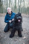 038-CSAU L ISLE ADAM-GIL 1481 : 2017, CSAU, ambiance, concours RING, l'Isle Adam, portrait