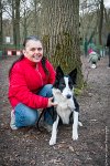 053-CSAU L ISLE ADAM-GIL 1495 : 2017, CSAU, ambiance, concours RING, l'Isle Adam, portrait