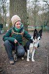 058-CSAU L ISLE ADAM-GIL 1500 : 2017, CSAU, ambiance, concours RING, l'Isle Adam, portrait