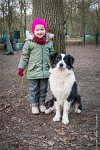 068-CSAU L ISLE ADAM-GIL 1510 : 2017, CSAU, ambiance, concours RING, l'Isle Adam, portrait