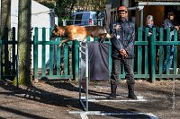003-RING L ISLE ADAM - -3997 : 2017, FIDEL, RING 3, concours RING, l'Isle Adam