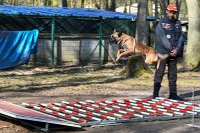 009-RING L ISLE ADAM - -4009 : 2017, FIDEL, RING 3, concours RING, l'Isle Adam