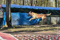 012-RING L ISLE ADAM - -4014 : 2017, FIDEL, RING 3, concours RING, l'Isle Adam