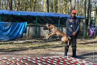 014-RING L ISLE ADAM - -4018 : 2017, FIDEL, RING 3, concours RING, l'Isle Adam