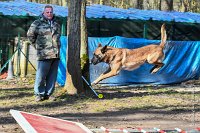 016-RING L ISLE ADAM - -4020 : 2017, FIDEL, RING 3, concours RING, l'Isle Adam