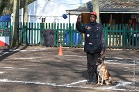 026-RING L ISLE ADAM - -4043 : 2017, FIDEL, RING 3, concours RING, l'Isle Adam