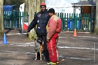 035-RING L ISLE ADAM - -4064 : 2017, FIDEL, RING 3, concours RING, l'Isle Adam