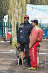036-RING L ISLE ADAM - -4065 : 2017, FIDEL, RING 3, concours RING, l'Isle Adam