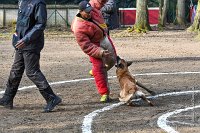 037-RING L ISLE ADAM - -4068 : 2017, FIDEL, RING 3, concours RING, l'Isle Adam