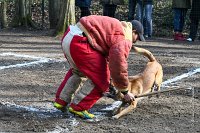 049-RING L ISLE ADAM - -4093 : 2017, FIDEL, RING 3, concours RING, l'Isle Adam