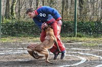 055-RING L ISLE ADAM - -4109 : 2017, FIDEL, RING 3, concours RING, l'Isle Adam