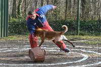 056-RING L ISLE ADAM - -4110 : 2017, FIDEL, RING 3, concours RING, l'Isle Adam