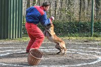 058-RING L ISLE ADAM - -4112 : 2017, FIDEL, RING 3, concours RING, l'Isle Adam