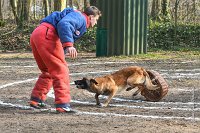 060-RING L ISLE ADAM - -4118 : 2017, FIDEL, RING 3, concours RING, l'Isle Adam