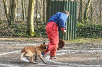 061-RING L ISLE ADAM - -4123 : 2017, FIDEL, RING 3, concours RING, l'Isle Adam