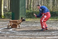 064-RING L ISLE ADAM - -4127 : 2017, FIDEL, RING 3, concours RING, l'Isle Adam