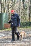 067-RING L ISLE ADAM - -4136 : 2017, FIDEL, RING 3, concours RING, l'Isle Adam