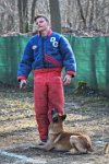 071-RING L ISLE ADAM - -4157 : 2017, FIDEL, RING 3, concours RING, l'Isle Adam