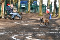 079-RING L ISLE ADAM - -4188 : 2017, FIDEL, RING 3, concours RING, l'Isle Adam