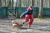081-RING L ISLE ADAM - -4191 : 2017, FIDEL, RING 3, concours RING, l'Isle Adam