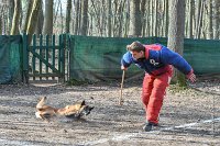 082-RING L ISLE ADAM - -4192 : 2017, FIDEL, RING 3, concours RING, l'Isle Adam