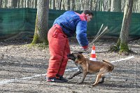 083-RING L ISLE ADAM - -4196 : 2017, FIDEL, RING 3, concours RING, l'Isle Adam