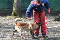 084-RING L ISLE ADAM - -4203 : 2017, FIDEL, RING 3, concours RING, l'Isle Adam