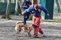 087-RING L ISLE ADAM - -4209 : 2017, FIDEL, RING 3, concours RING, l'Isle Adam