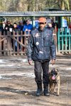 088-RING L ISLE ADAM - -4210 : 2017, FIDEL, RING 3, concours RING, l'Isle Adam