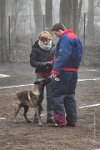 022-RING L ISLE ADAM 2017 - MOOGLY -GIL 1618 : 2017, BREVET, MOOGLY, concours RING, l'Isle Adam