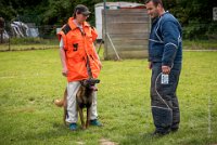 0036 RING ECOUEN - GOSS-BO -4245 : 2016, ECOUEN, GOSS-BO, RING, RING 2