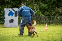 0041 RING ECOUEN - GOSS-BO -4258 : 2016, ECOUEN, GOSS-BO, RING, RING 2