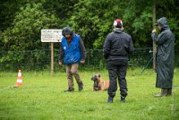 0011 RING ECOUEN - HERET-KHAU  -5127 : 2016, ECOUEN, HERET-KHAU, RING, RING 3