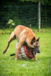 0044 RING ECOUEN - HERET-KHAU  -5181 : 2016, ECOUEN, HERET-KHAU, RING, RING 3