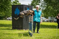 0008Ring Ecouen - IRIS-4083 : 2016, ECOUEN, IRIS, RING, RING 1