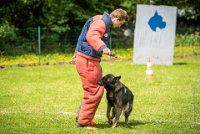 0024Ring Ecouen - IRIS-4117 : 2016, ECOUEN, IRIS, RING, RING 1