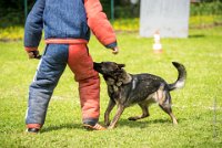0025Ring Ecouen - IRIS-4119 : 2016, ECOUEN, IRIS, RING, RING 1