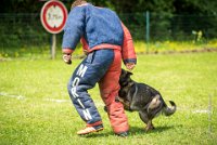 0026Ring Ecouen - IRIS-4121 : 2016, ECOUEN, IRIS, RING, RING 1