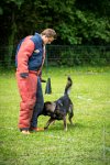 0029Ring Ecouen - IRIS-4126 : 2016, ECOUEN, IRIS, RING, RING 1